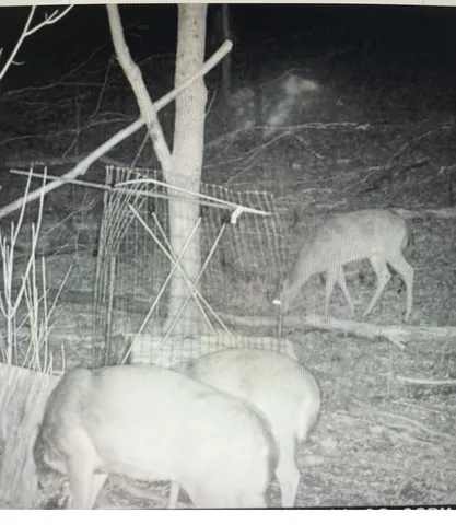 $445,000 | 1064 Cathcart Road, Dowelltown, TN 37059