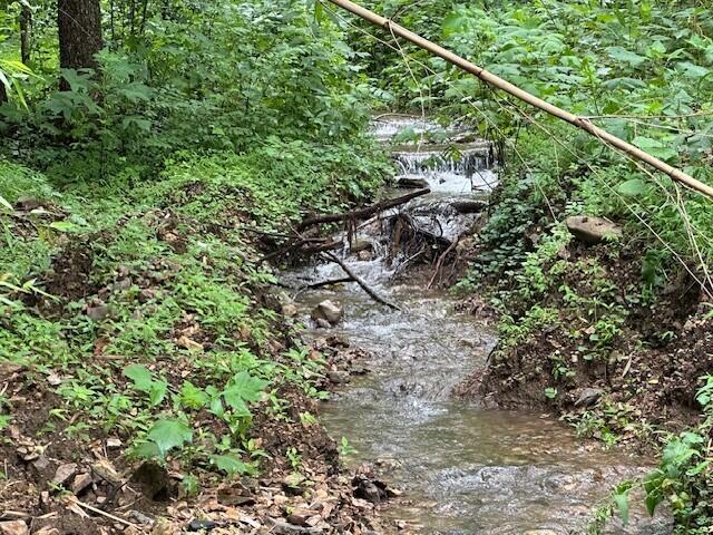 1064 Cathcart Road Dowelltown, TN 37059 - Photo 5 of 43 6