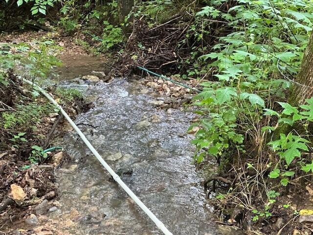 1064 Cathcart Road Dowelltown, TN 37059 - Photo 6 of 43 5