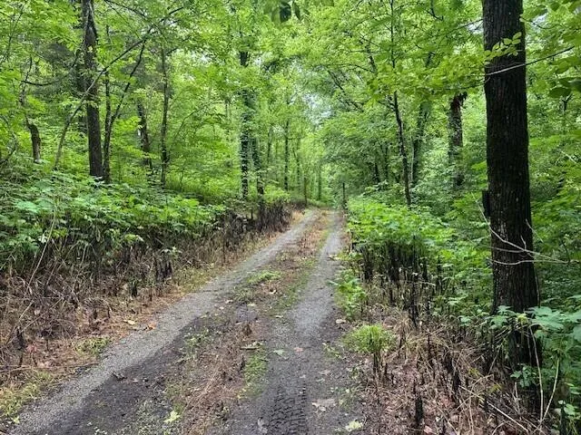 $445,000 | 1064 Cathcart Road, Dowelltown, TN 37059