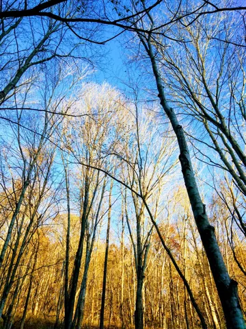 $445,000 | 1064 Cathcart Road, Dowelltown, TN 37059