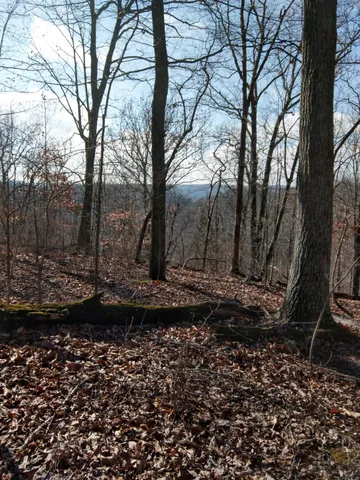 $445,000 | 1064 Cathcart Road, Dowelltown, TN 37059