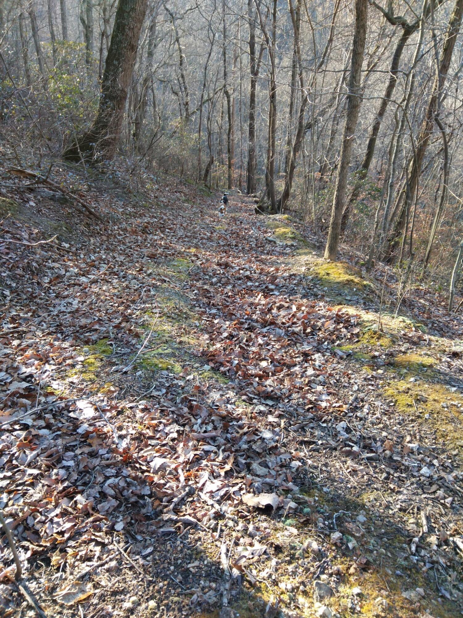 1064 Cathcart Road Dowelltown, TN 37059 - Photo 10 of 43 35