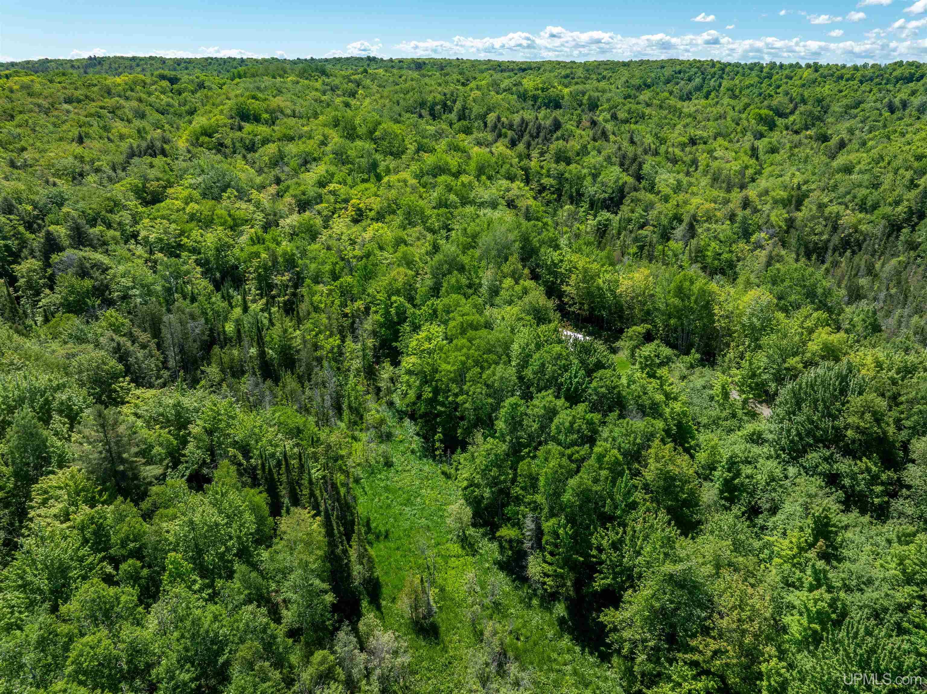 31 A Off Center Street Munising, MI 49862 - Photo 16 of 31