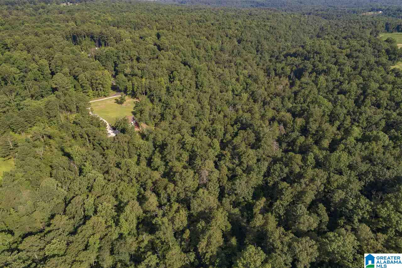 2277 Mt View Road Hayden, AL 35079 - Photo 42 of 46