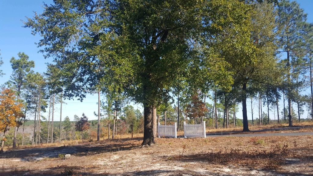 5868 Deans Bridge Road Augusta, GA 30805 - Photo 3 of 9