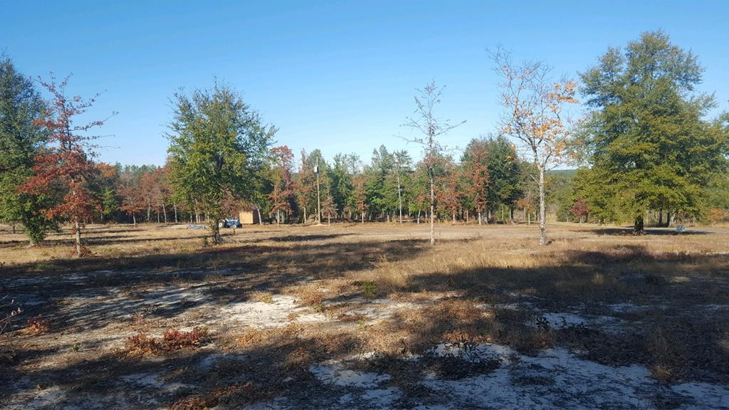 5868 Deans Bridge Road Augusta, GA 30805 - Photo 4 of 9