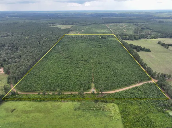 a view of a field