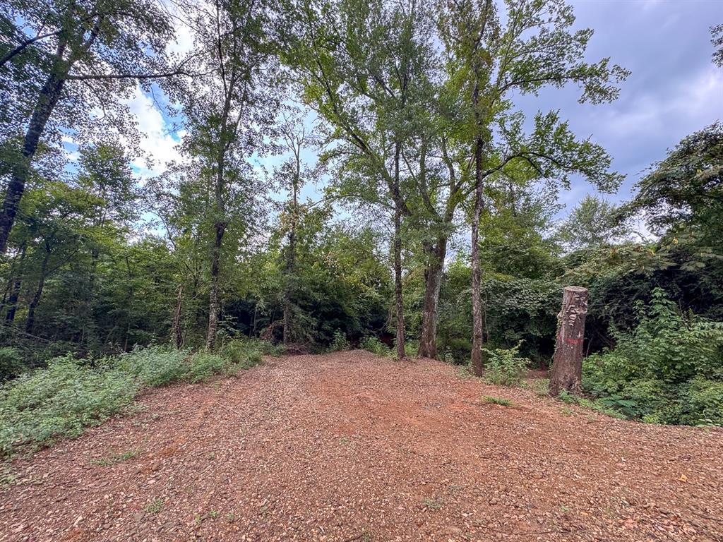 0 Warren Church Road Florien, LA 71429 - Photo 10 of 10 a view of a forest with trees in front of it