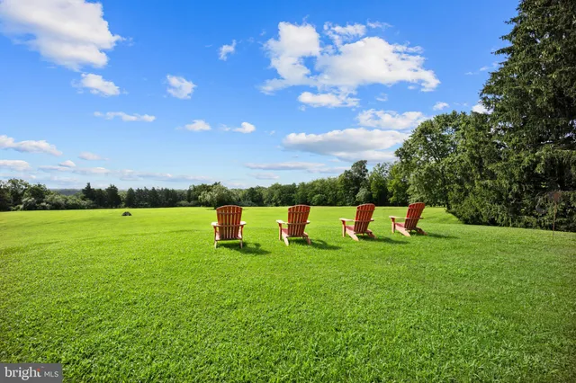 a view of a swimming pool with lawn chairs and potted plants