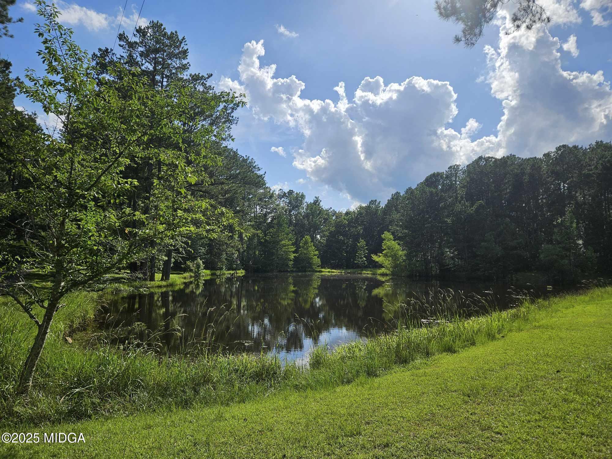 156 Rose Down Avenue Gray, GA 31032 - Photo 2 of 46 a view of a lake in middle of the forest
