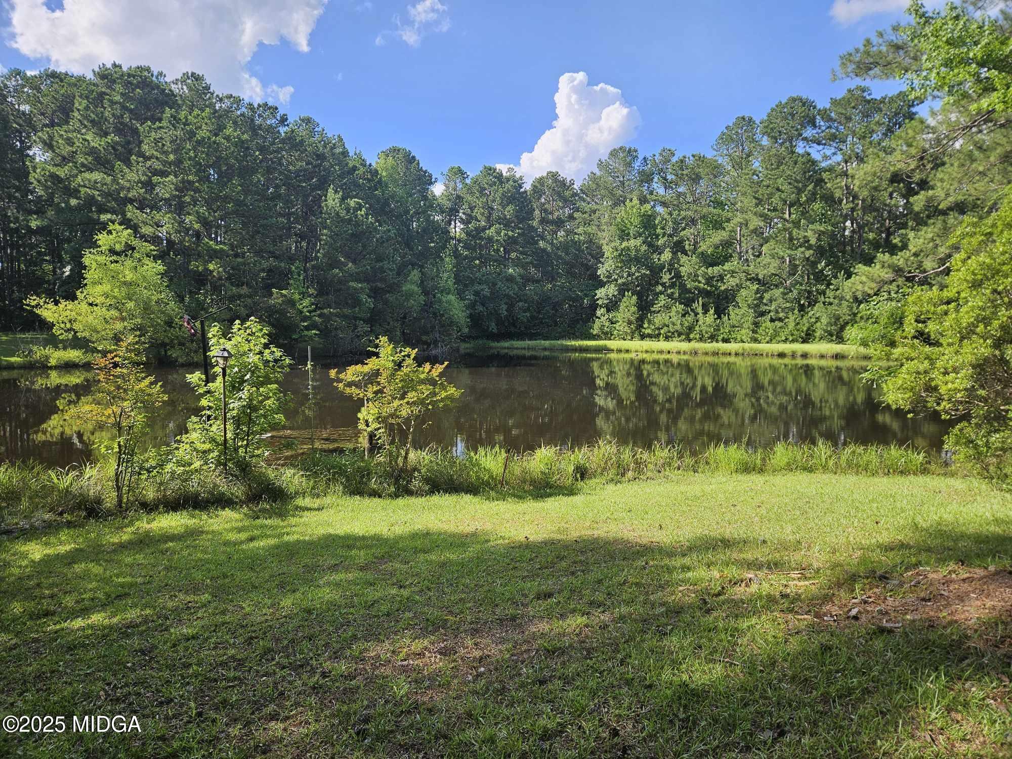 156 Rose Down Avenue Gray, GA 31032 - Photo 3 of 46 a view of a yard with a tree