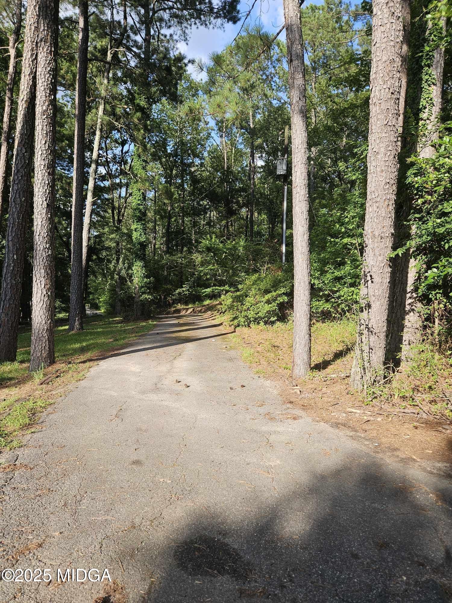 156 Rose Down Avenue Gray, GA 31032 - Photo 5 of 46 a view of a yard with plants and trees