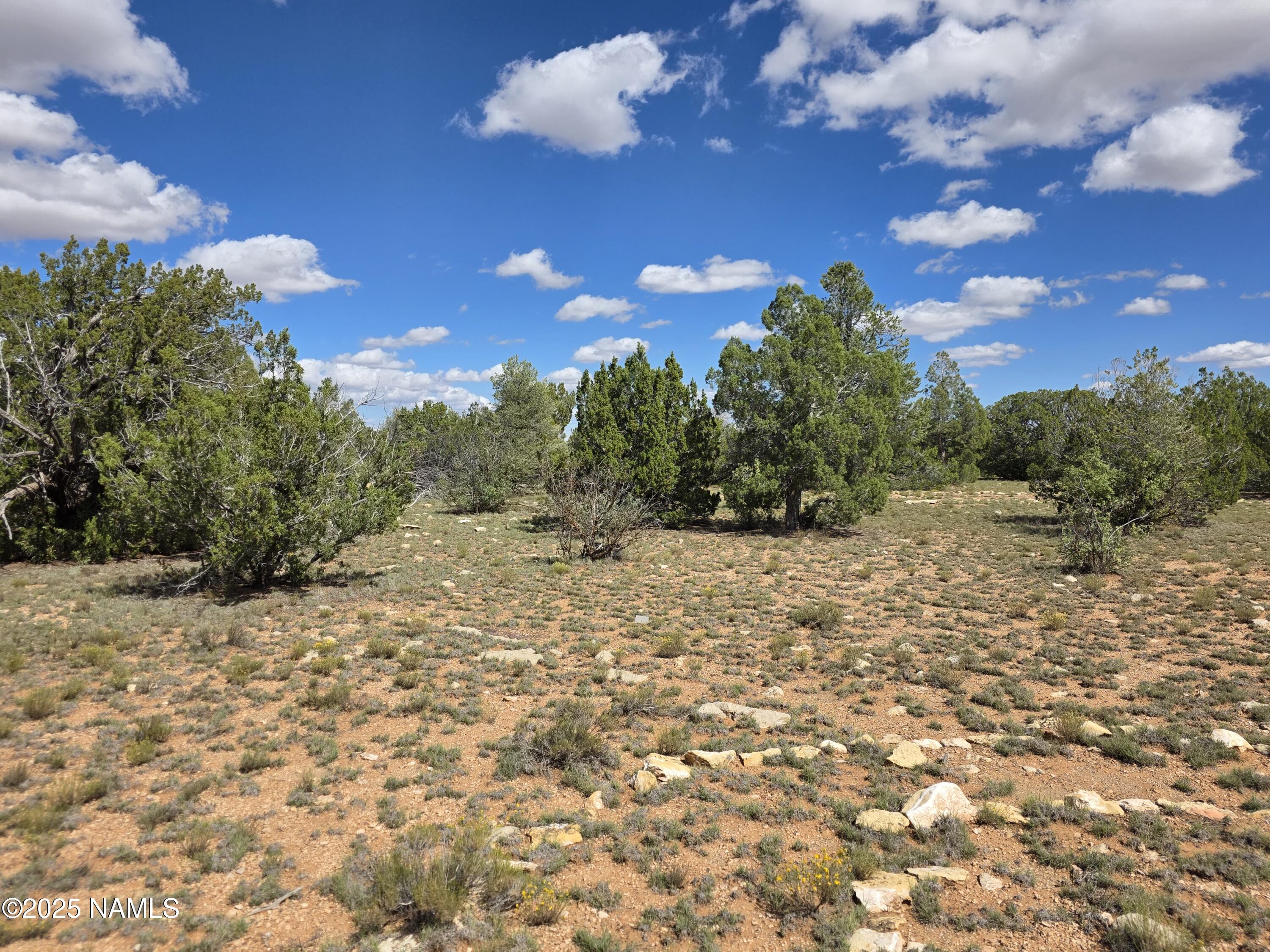10422 West Red Bluff Road Williams, AZ 86046 - Photo 22 of 28 1000053458