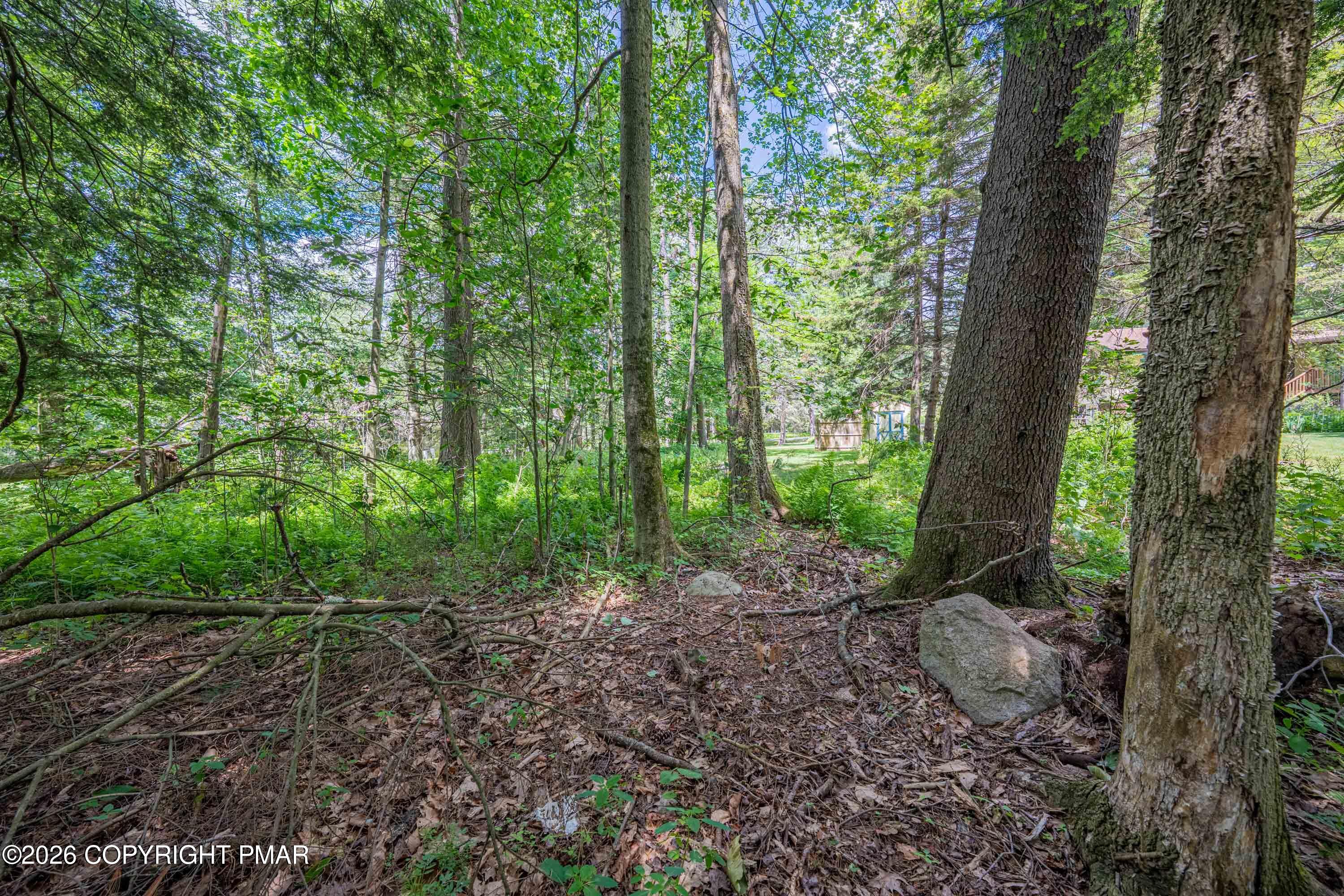 5226 Beechwood Road Pocono Lake, PA 18347 - Photo 65 of 65 5226 Beechwood-51