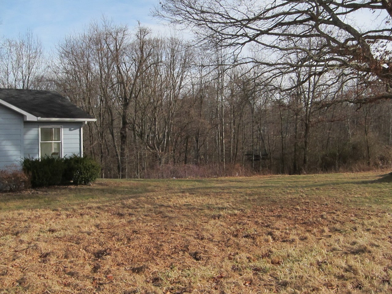 111 Weiss Road Ballard, WV 24918 - Photo 32 of 32 Side yard between large oaks and home.