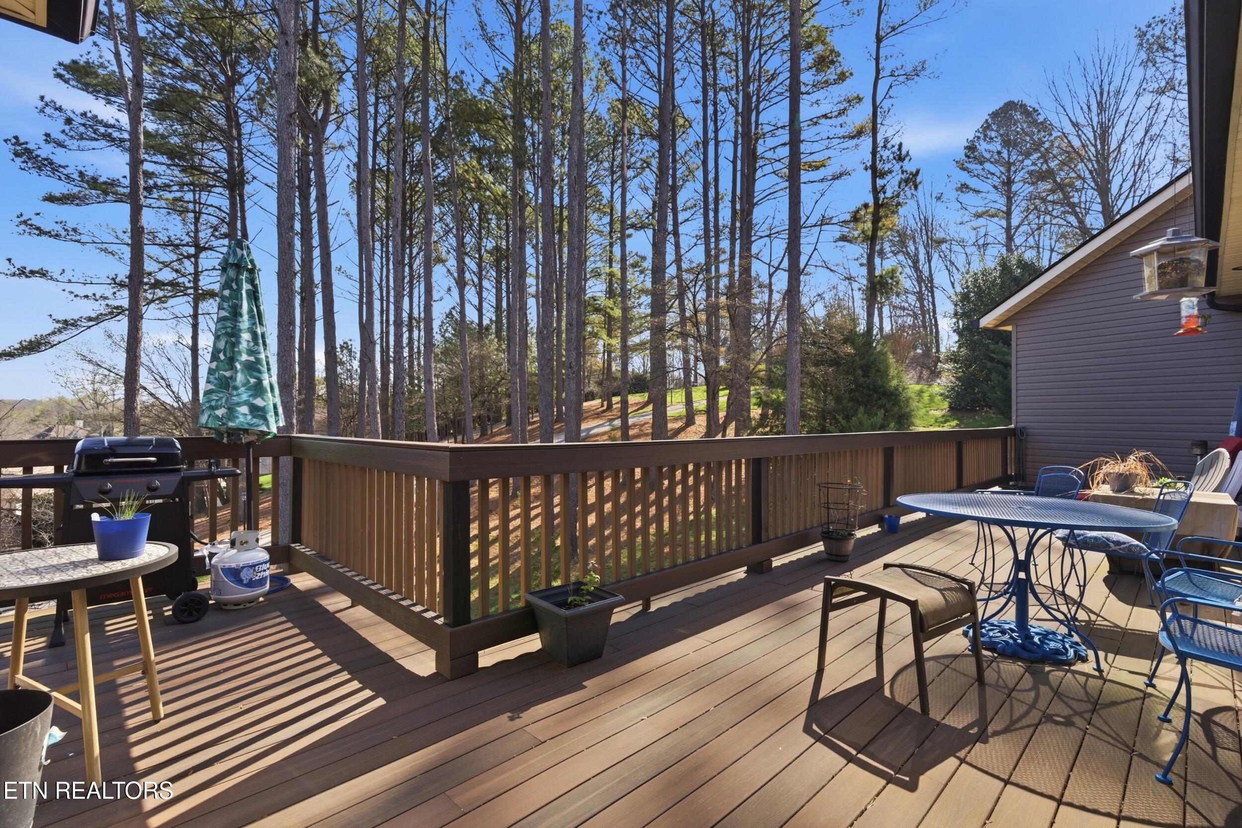 301 Inagehi Lane Loudon, TN 37774 - Photo 36 of 59 301_inaghei_ln_0107