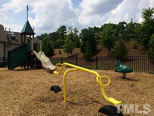 7533 Channery Way Raleigh, NC 27616 - Photo 22 of 25 Come and play!
