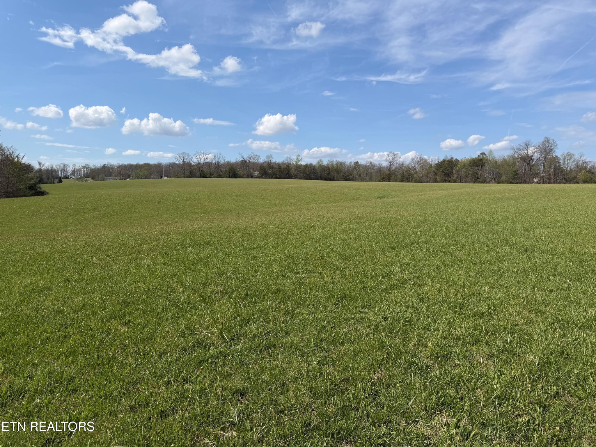 1342 Walt Reed Road Grandview, TN 37337 - Photo 2 of 13 Gallery Image 2