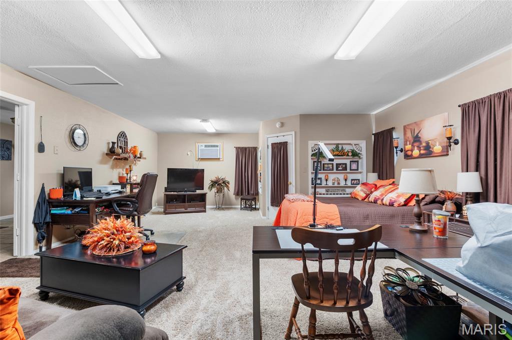 723 Bunker Hill Road Staunton, IL 62088 - Photo 21 of 30
