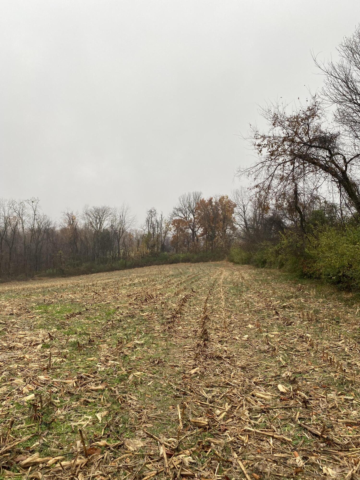 1265 Greasy Ridge Road Stanford, KY 40484 - Photo 4 of 16 xoM93KJkT6OvzQRZNKxACQ