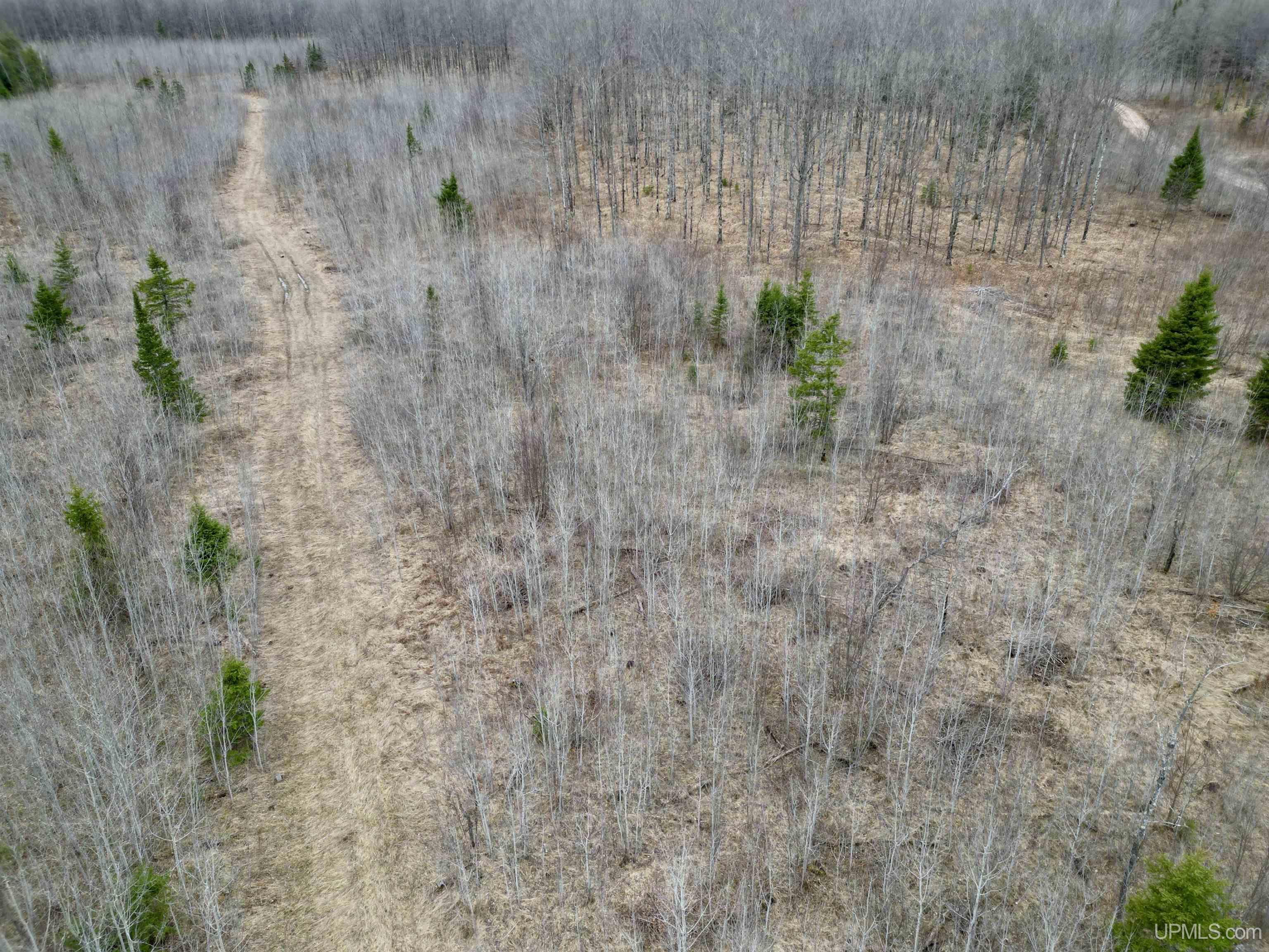 Tbd North Gaber Rd H Road Perronville, MI 49873 - Photo 11 of 14