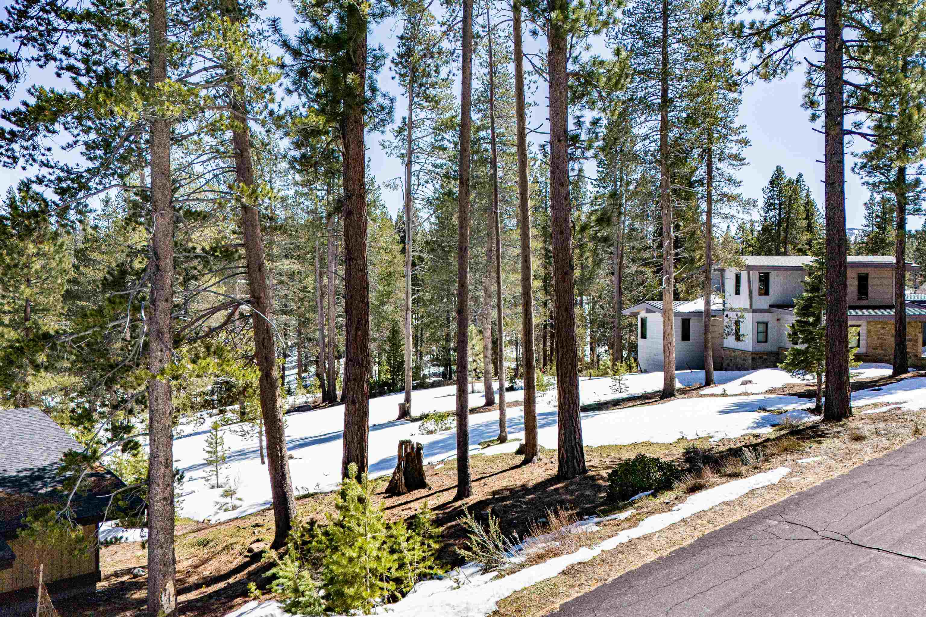11771 Ghirard Road Truckee, CA 96161 - Photo 6 of 15 a view of a park with large tree