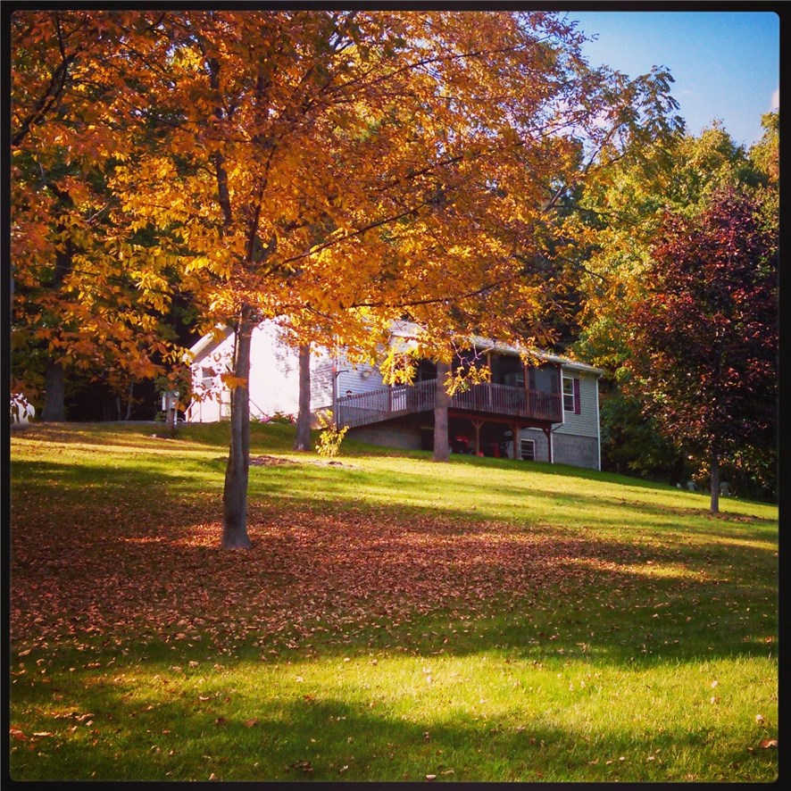 6446 West Swamp Road Conesus, NY 14435 - Photo 1 of 1 Beautifully set up on a hill