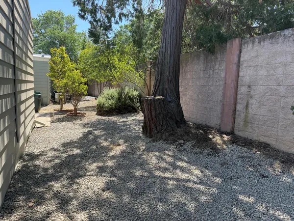 a view of a house with a yard and flower plants