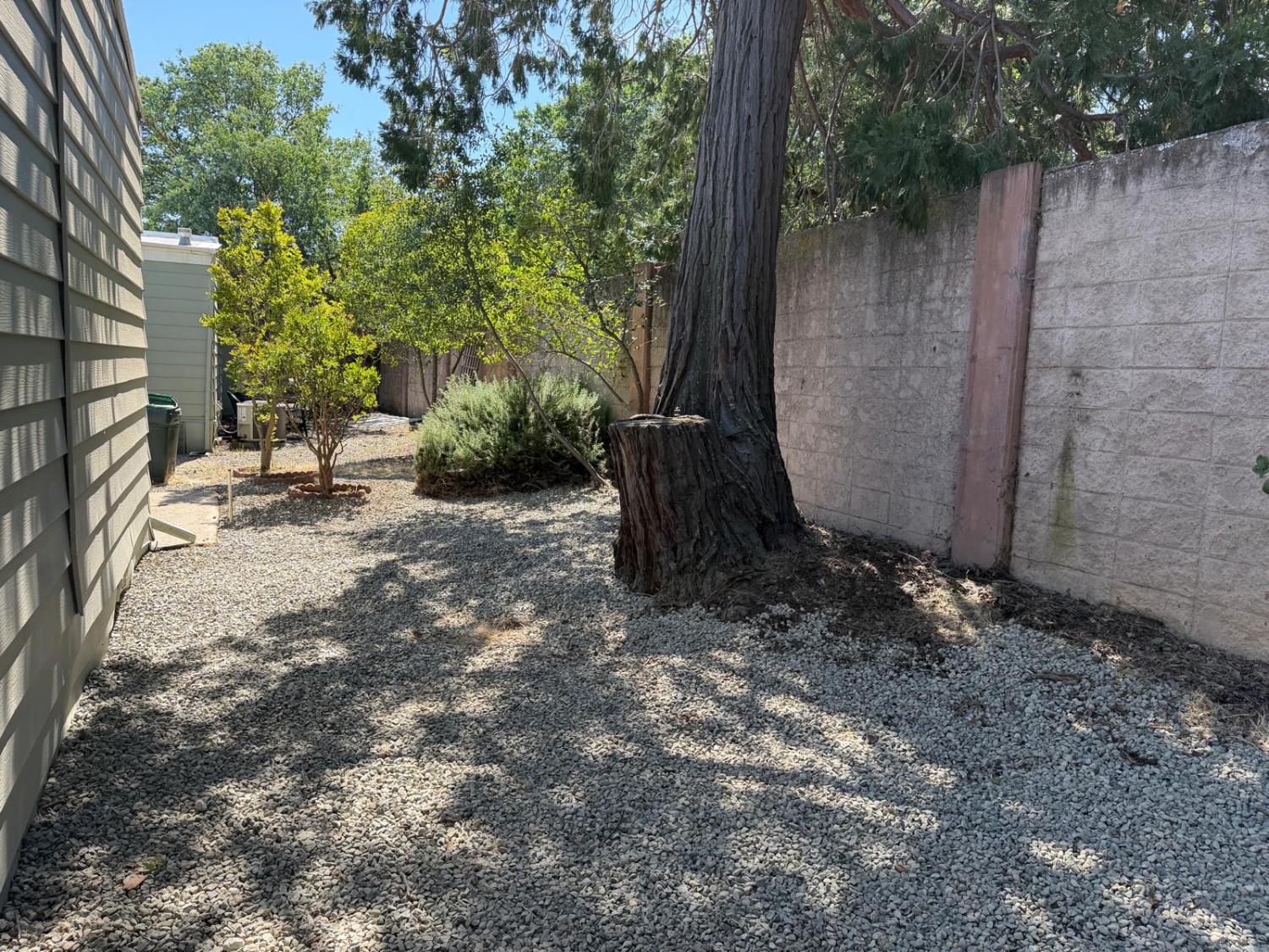 3 Rimma Way Roseville, CA 95661 - Photo 33 of 38 a view of a backyard with large trees and wooden fence