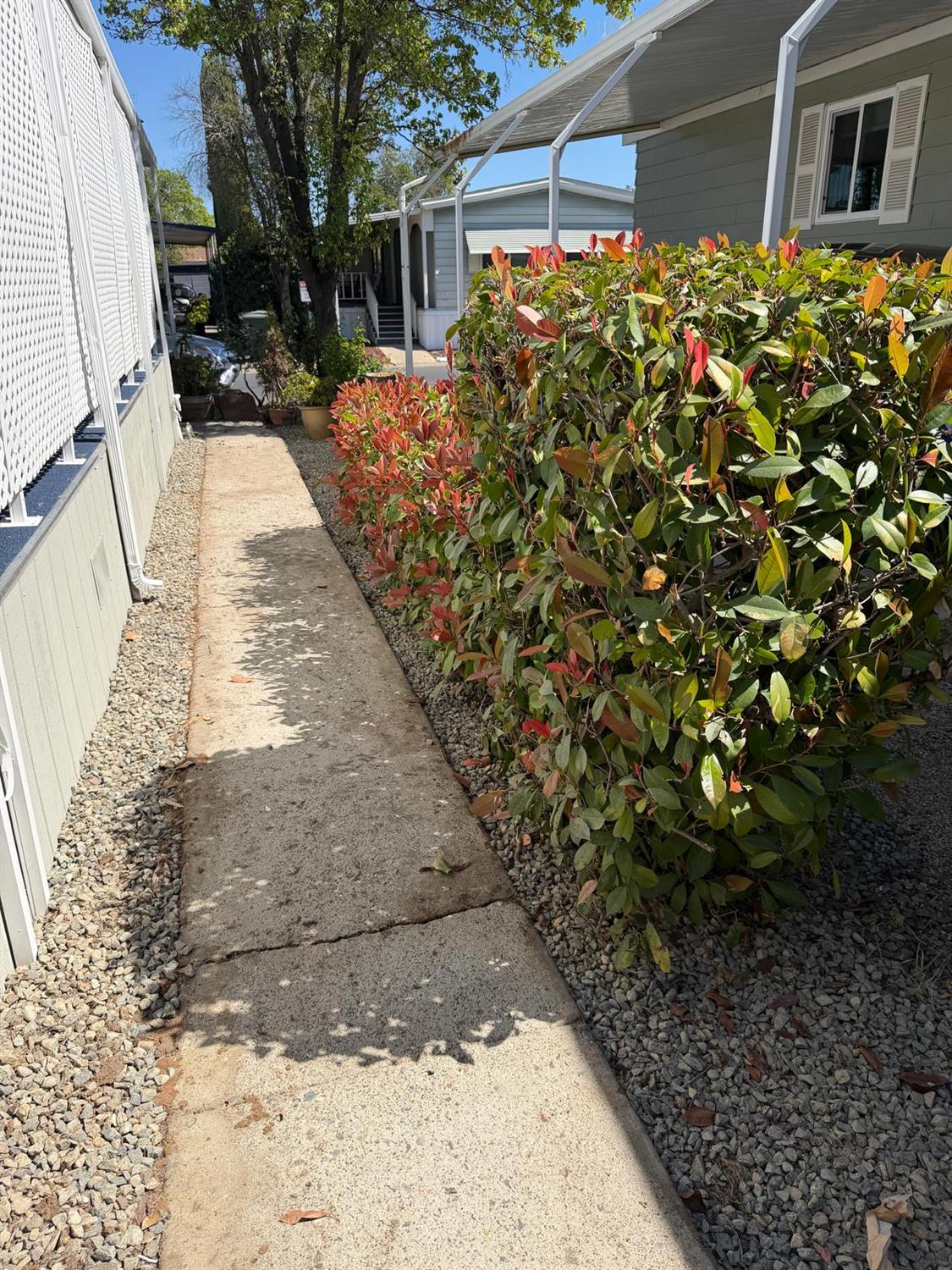 3 Rimma Way Roseville, CA 95661 - Photo 36 of 38 a view of a backyard