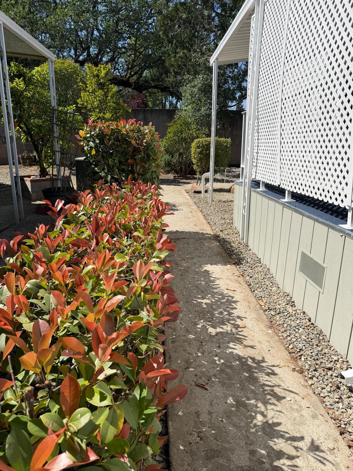 3 Rimma Way Roseville, CA 95661 - Photo 37 of 38 a view of a pathway with a backyard