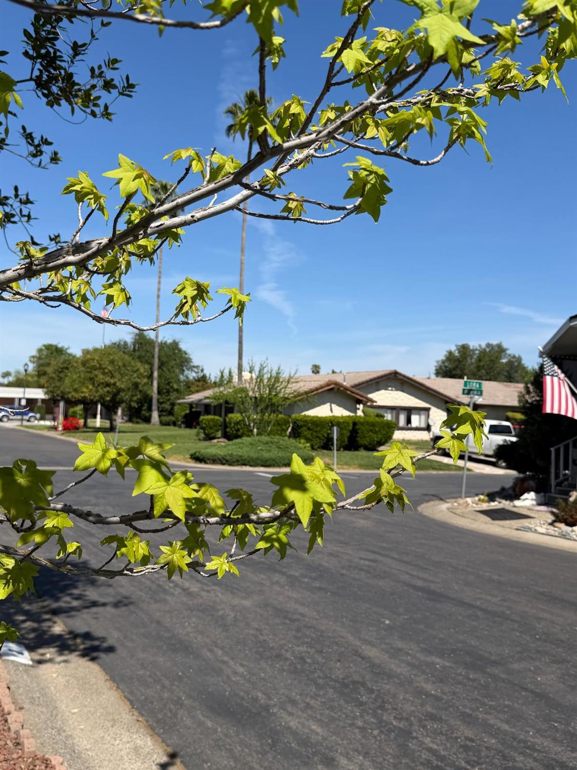 3 Rimma Way Roseville, CA 95661 - Photo 38 of 38