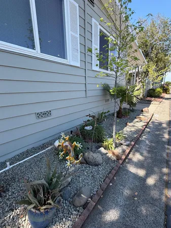 a view of a pathway with a yard