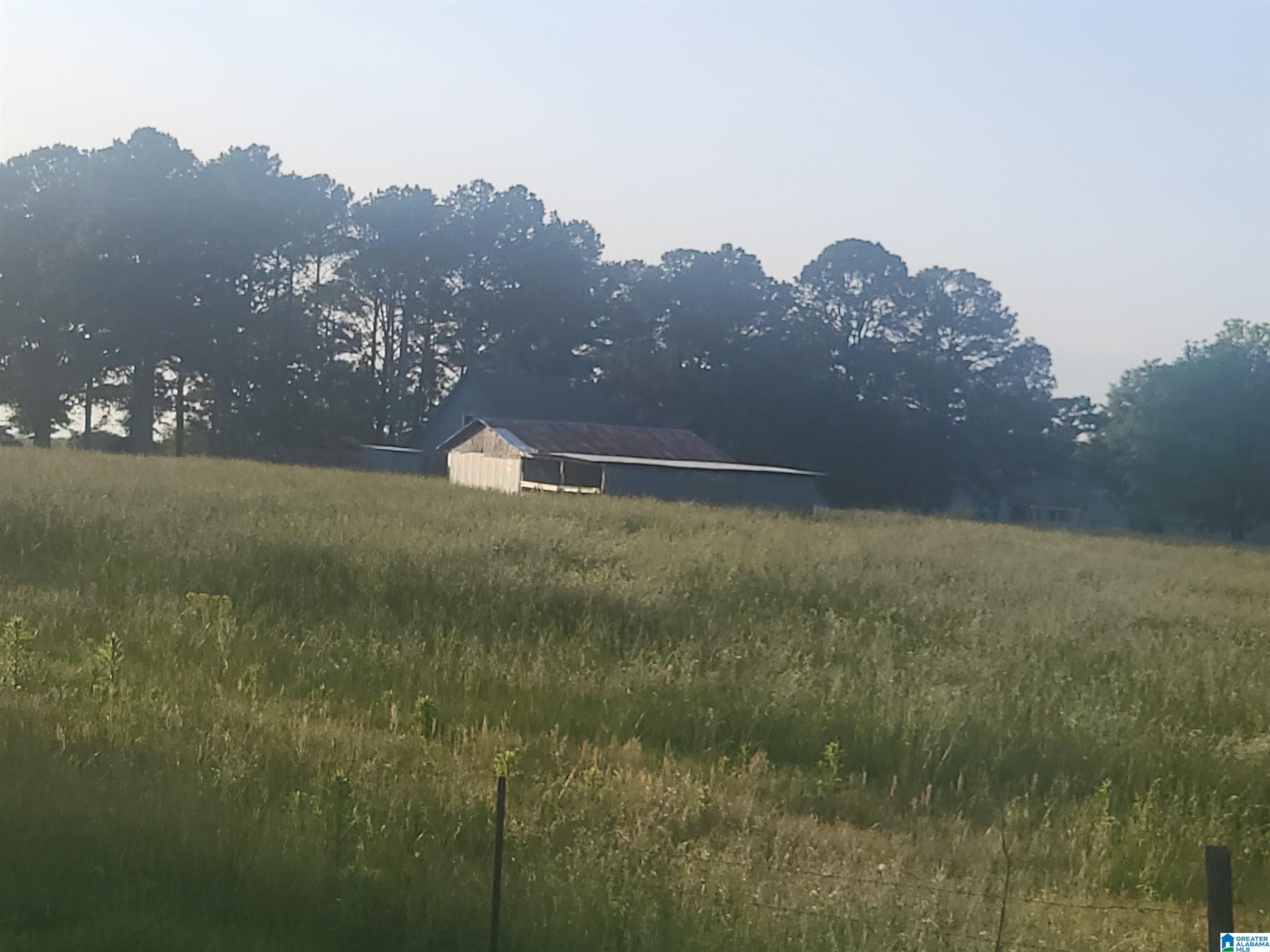 200 Misty Lane Boaz, AL 35956 - Photo 74 of 85