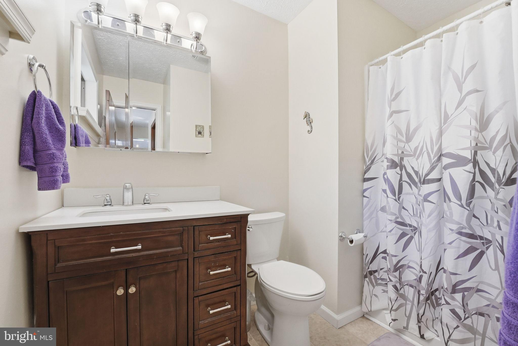 648 Creek Road Front Royal, VA 22630 - Photo 31 of 72 a bathroom with a granite countertop sink a toilet and a mirror
