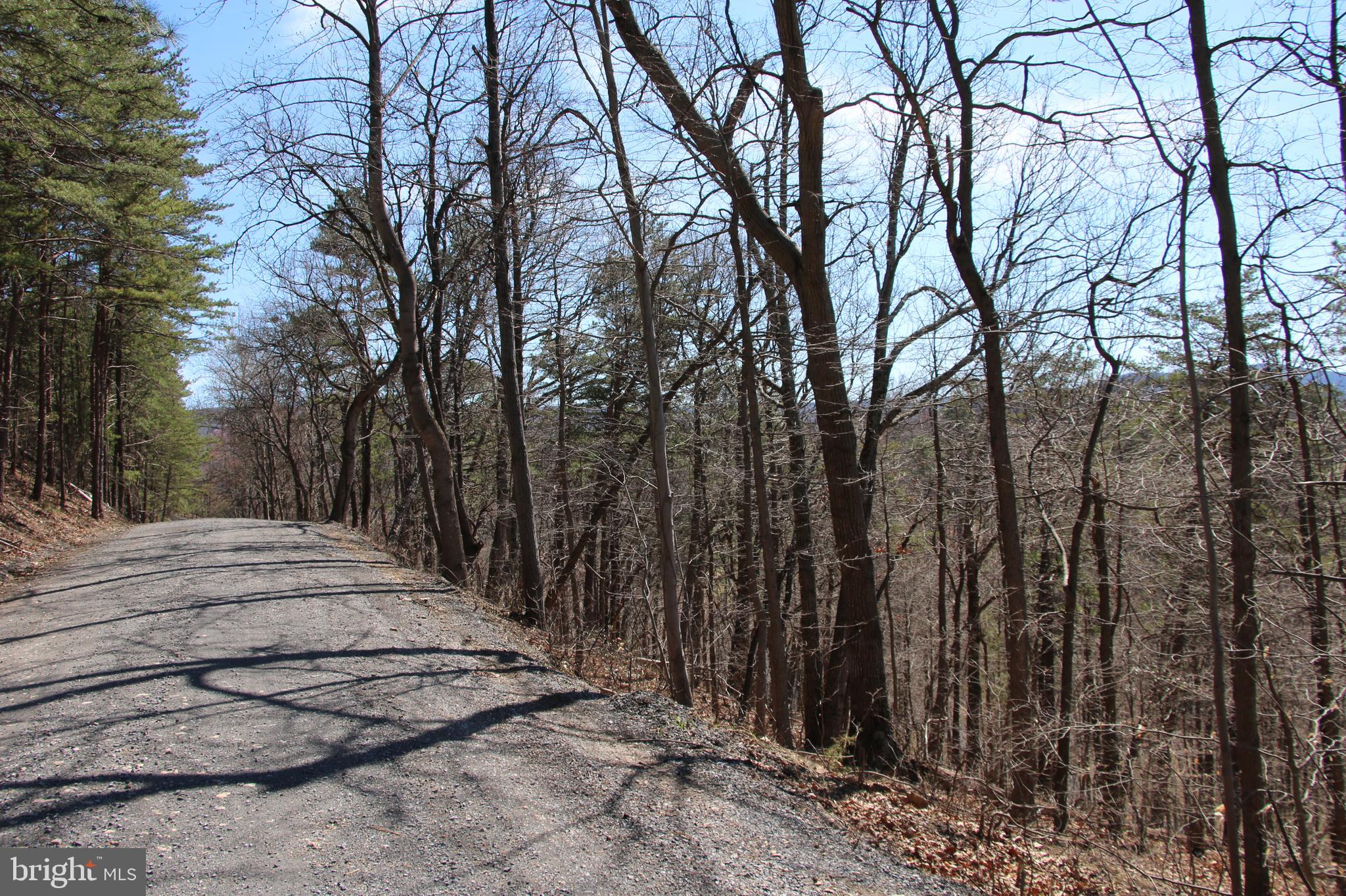 Wendy Hill Road Front Royal, VA 22630 - Photo 2 of 12