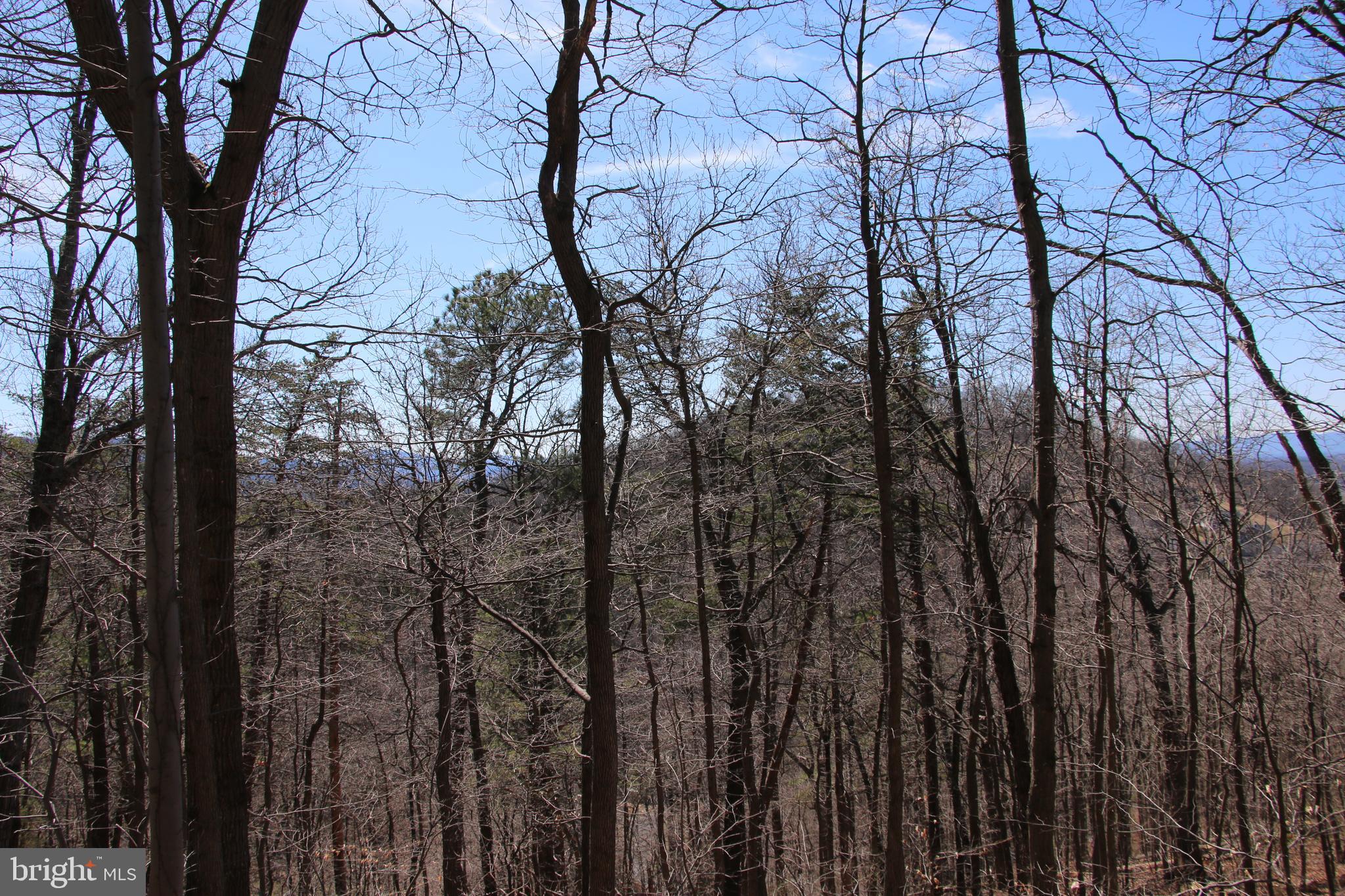 Wendy Hill Road Front Royal, VA 22630 - Photo 3 of 12