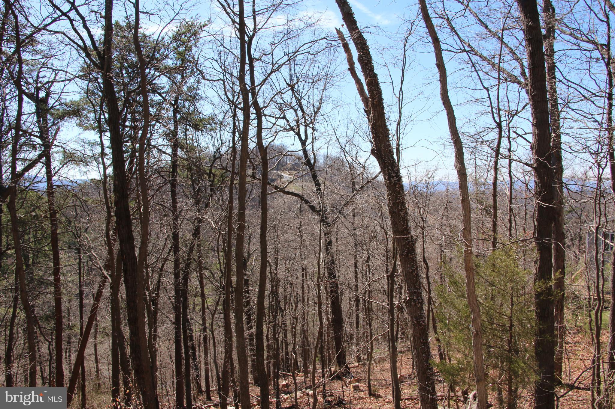 Wendy Hill Road Front Royal, VA 22630 - Photo 4 of 12