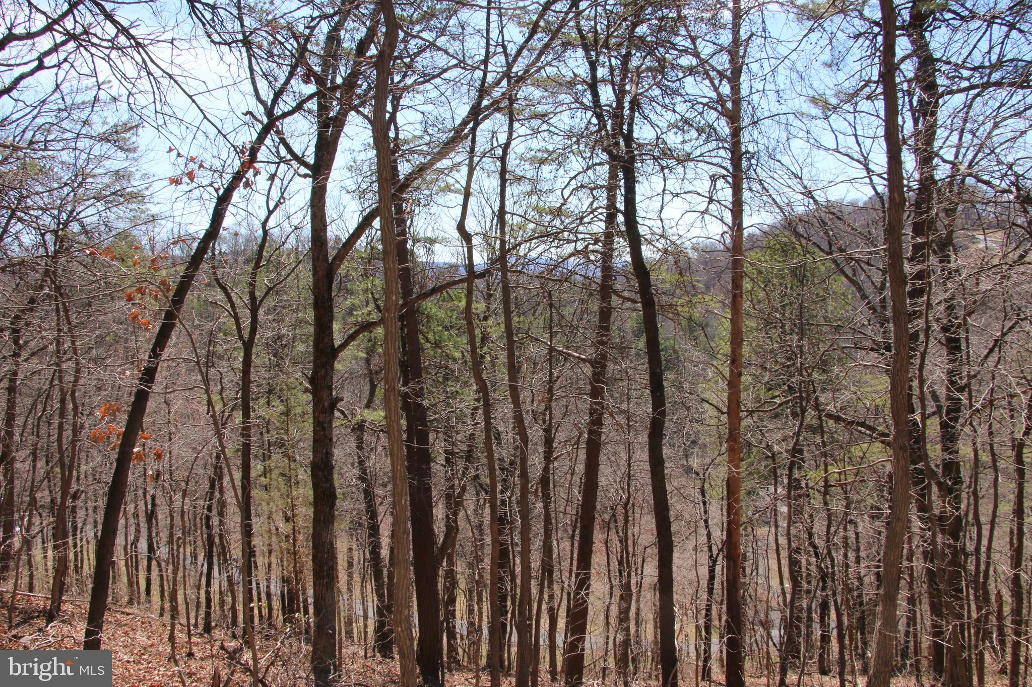 Wendy Hill Road Front Royal, VA 22630 - Photo 5 of 12