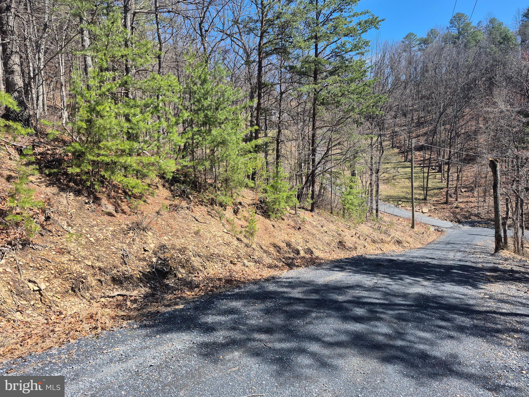 Wendy Hill Road Front Royal, VA 22630 - Photo 6 of 12