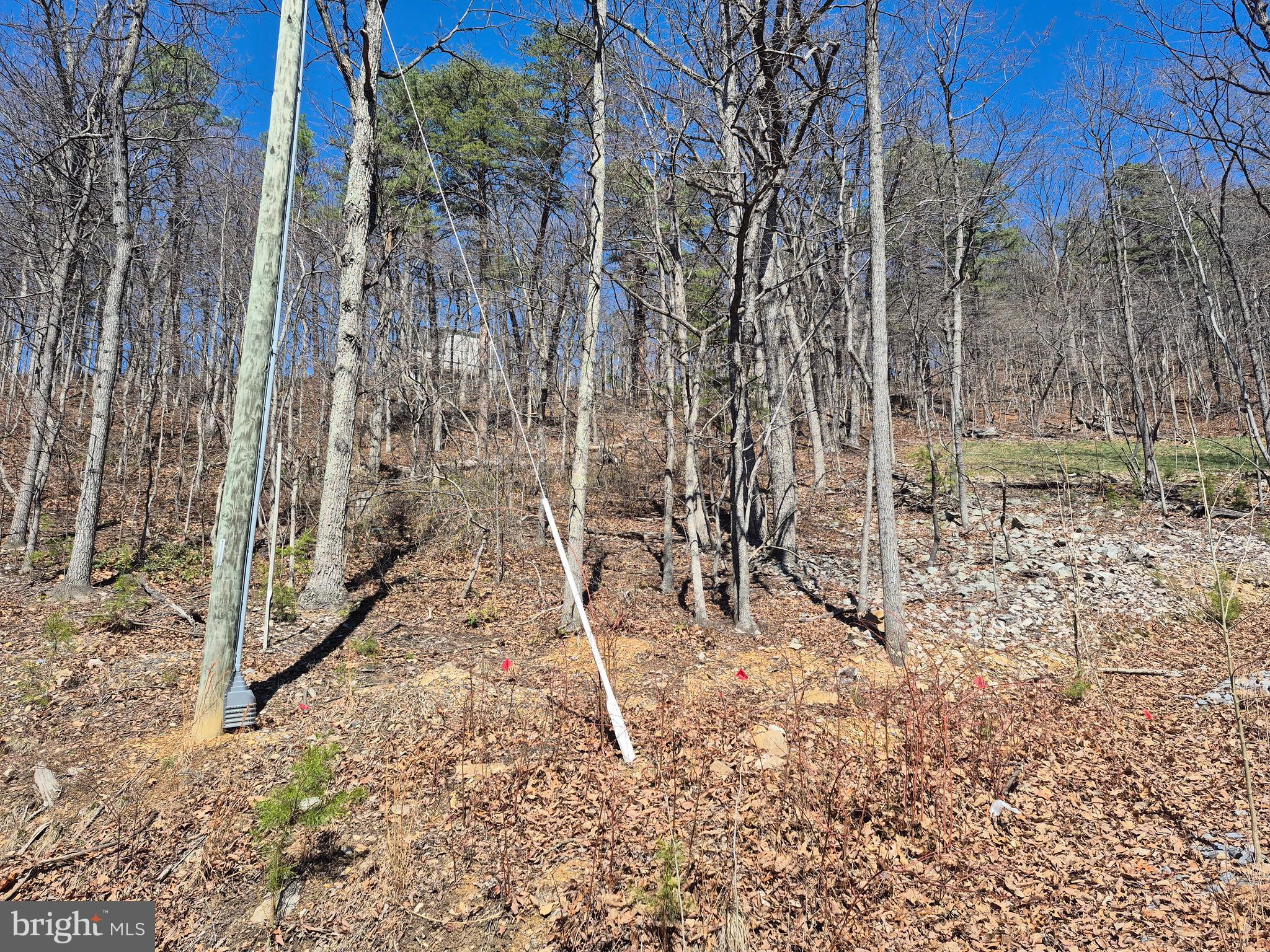 Wendy Hill Road Front Royal, VA 22630 - Photo 7 of 12