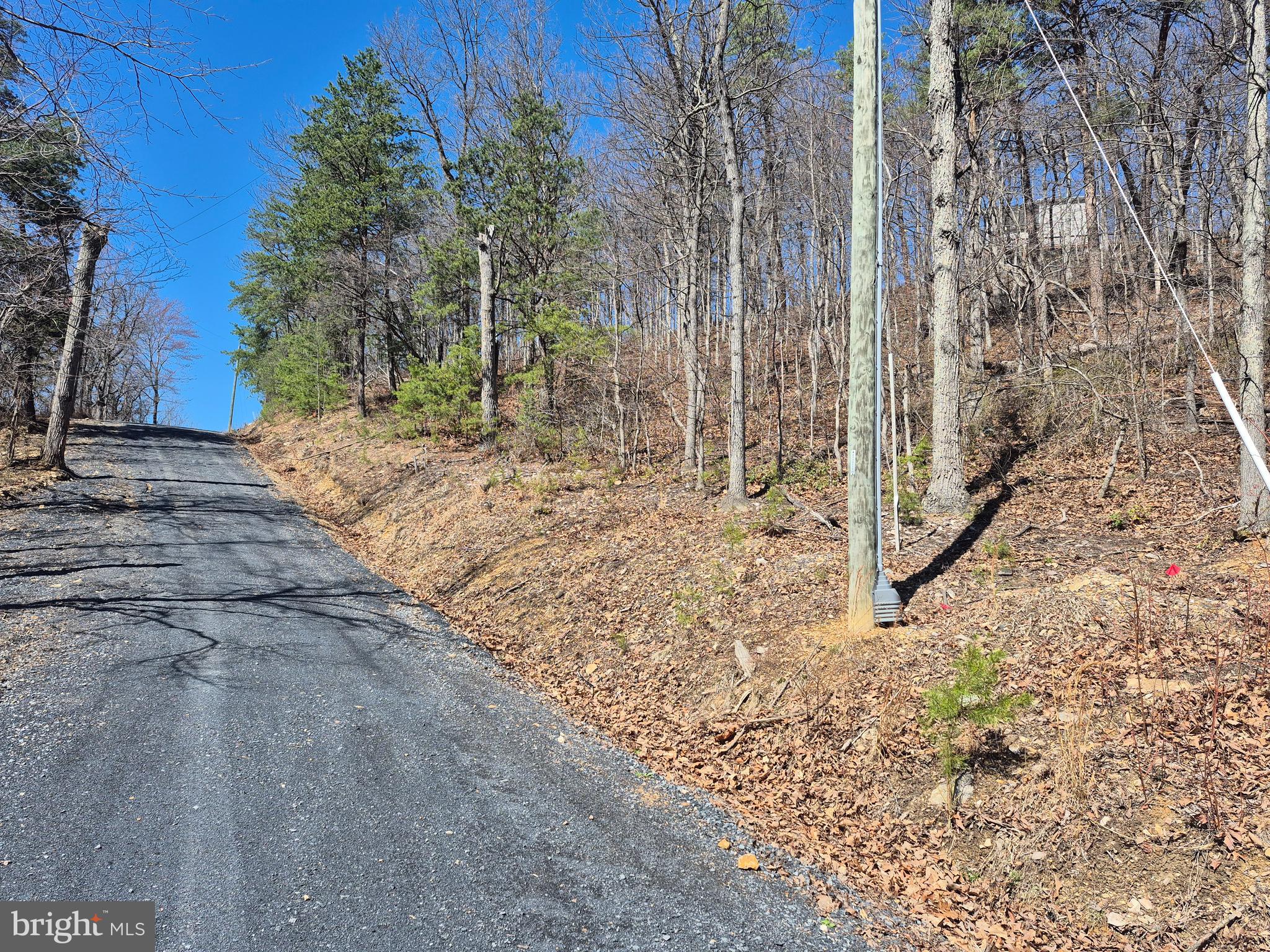 Wendy Hill Road Front Royal, VA 22630 - Photo 8 of 12