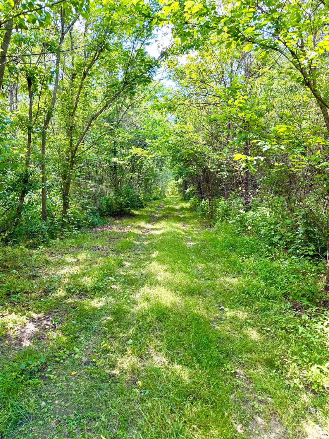 0 North Falls Road Bainbridge, OH 45612 - Photo 20 of 99