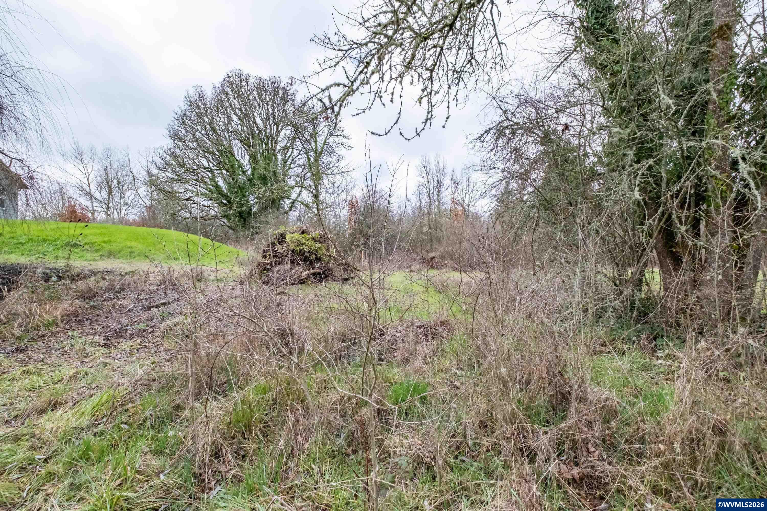 Lot 2 Southwest 12th Avenue Albany, OR 97321 - Photo 4 of 20