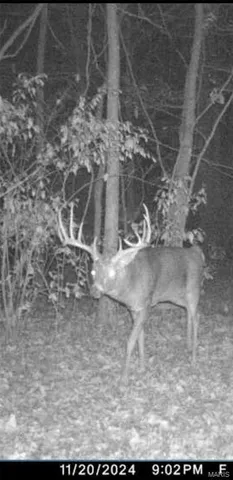 $90,000 | 8206 Eakin Grove Road, Benton, IL 62812