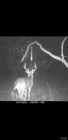 $90,000 | 8206 Eakin Grove Road, Benton, IL 62812