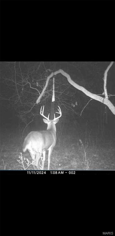 8206 Eakin Grove Road Benton, IL 62812 - Photo 11 of 54