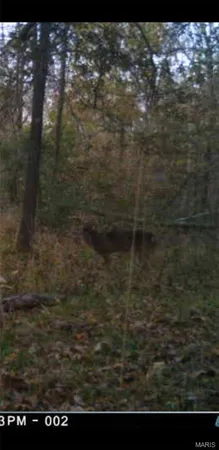 $90,000 | 8206 Eakin Grove Road, Benton, IL 62812