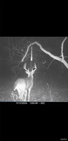 $90,000 | 8206 Eakin Grove Road, Benton, IL 62812